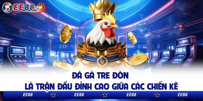 Đá gà tre đòn là trận đấu đỉnh cao giữa các chiến kê