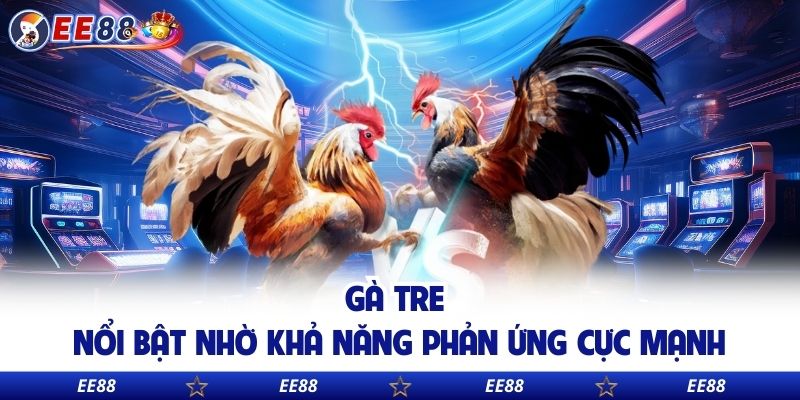 Gà tre nổi bật nhờ khả năng phản ứng cực mạnh