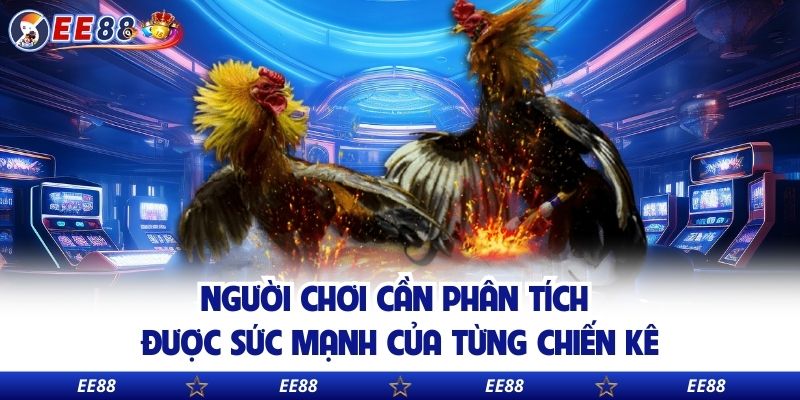 Người chơi cần phân tích được sức mạnh của từng chiến kê