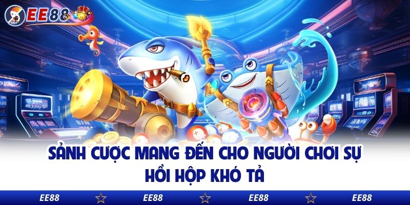 Sảnh cược mang đến cho người chơi sự hồi hộp khó tả